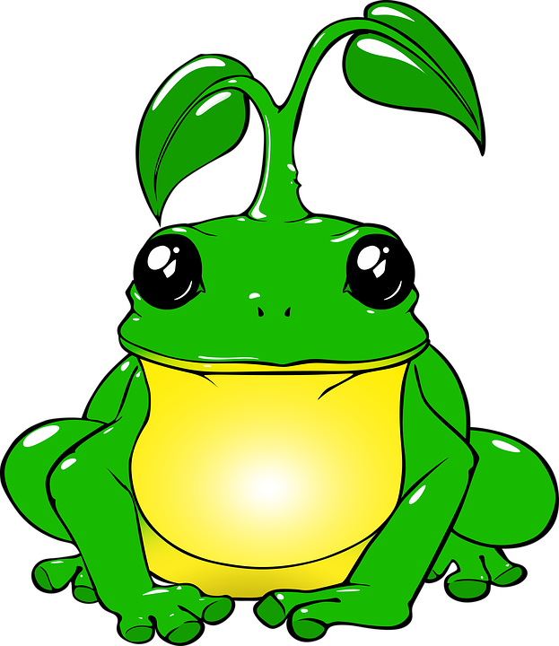 Bullfrog Clipart Frog Lily Pad - Frog Drawing Png Transparent Png (623x720), Png Download