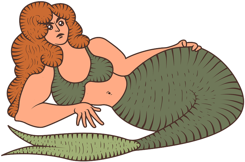 Mermaid Clipart - Cartoon - Png Download (800x537), Png Download