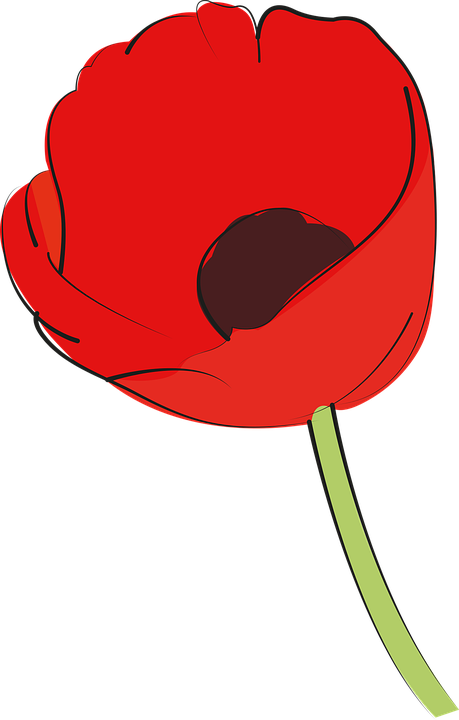 Clip Art - Png Download (459x720), Png Download