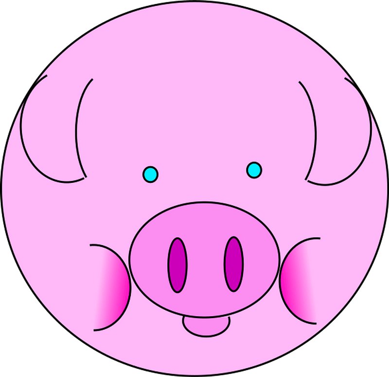 Pig Face Clipart - Cartoon - Png Download (800x775), Png Download