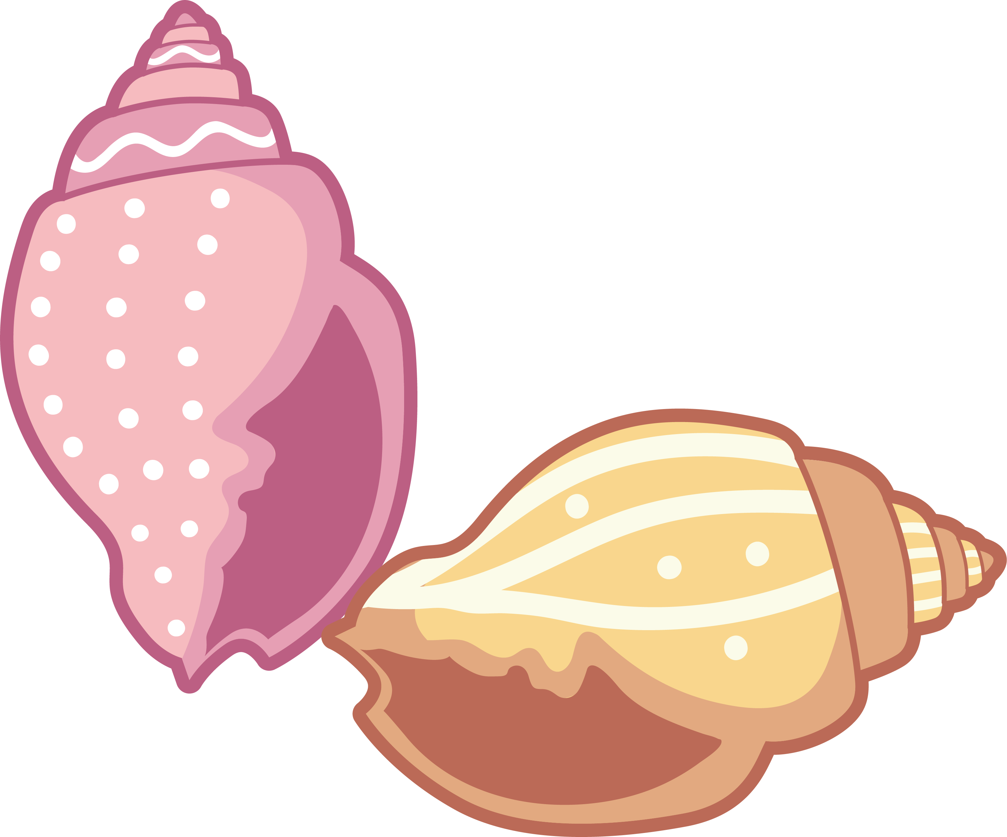 Download Transparent Sea Shell Clip Art - Cartoon Sea Shell Png