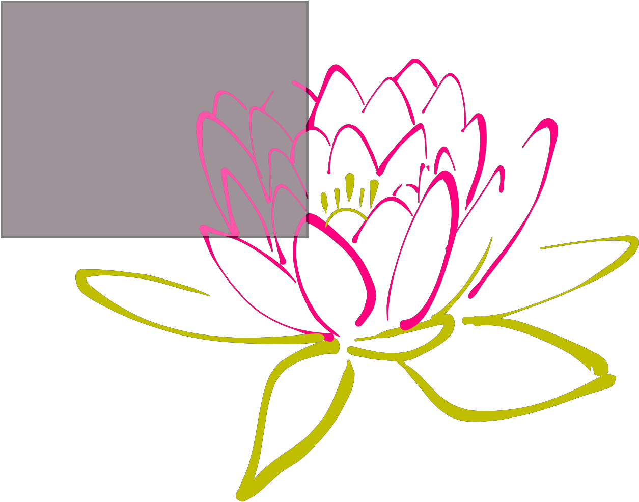 Water Lily Black And White Png Clipart (1600x1600), Png Download