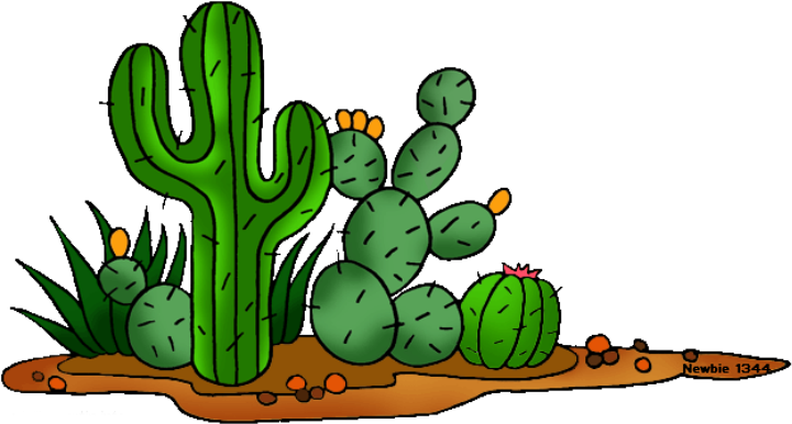 Newbie Cactus Town Tragedy - Desert Cactus Clip Art - Png Download (748x426), Png Download