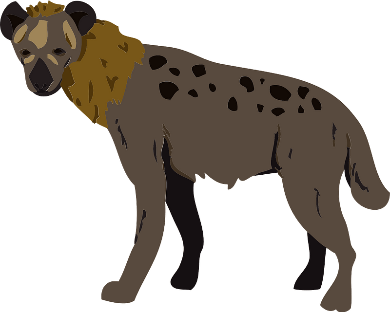 Hyena Animal Clipart - ハイエナ イラスト - Png Download (800x641), Png Download