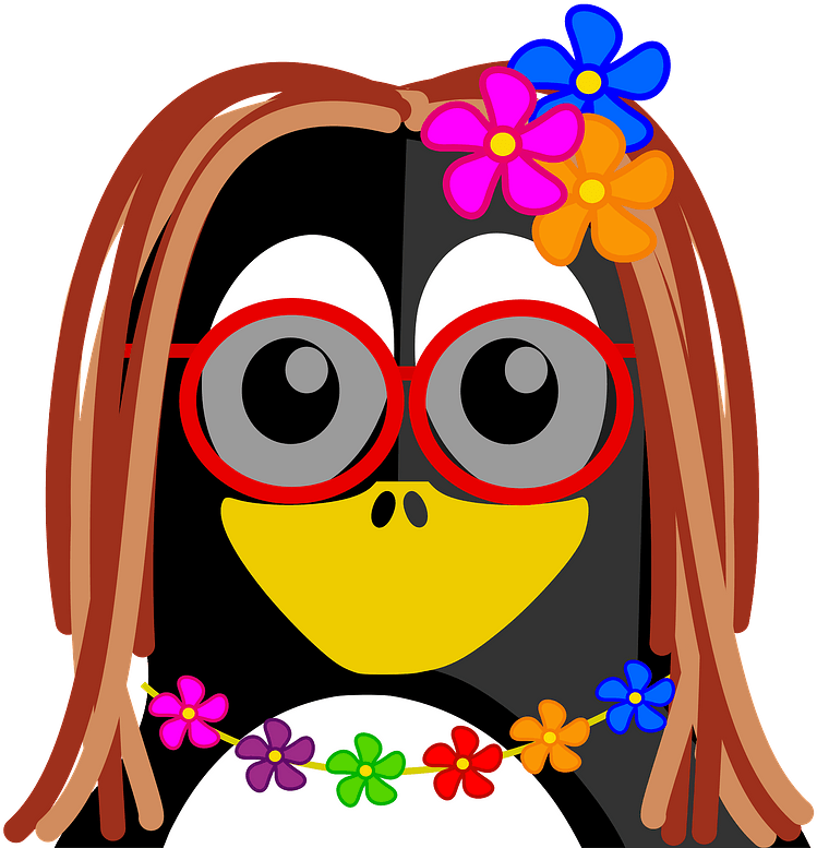 Hippie Penguin Clipart - Penguins - Png Download (800x800), Png Download