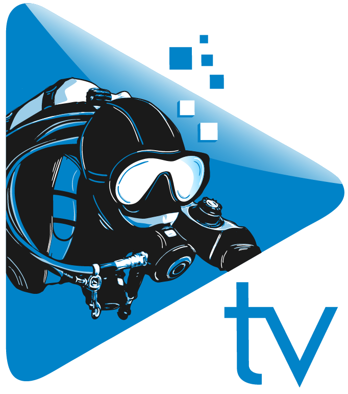 Scuba Diving Clipart (1025x1025), Png Download