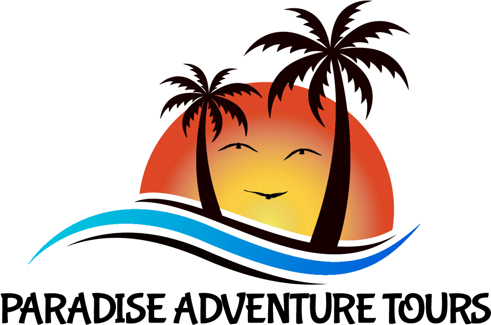 Clip Art - Png Download (1024x700), Png Download