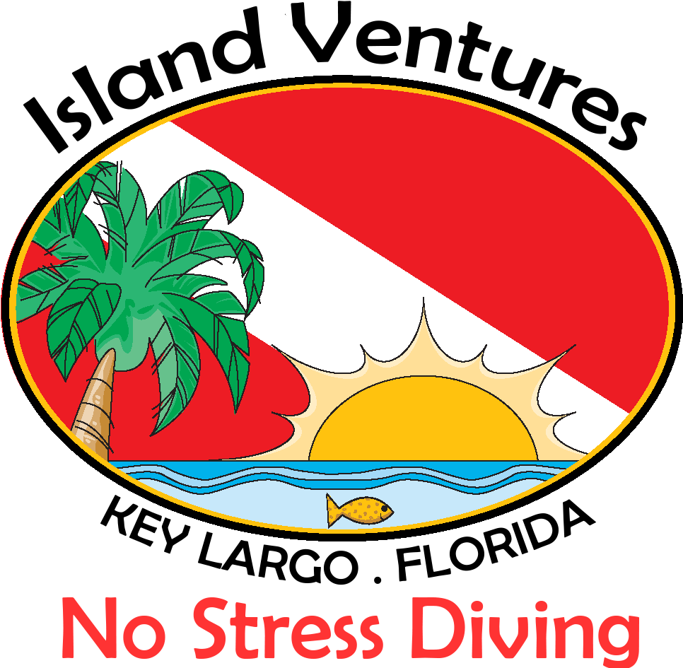 Clip Art - Png Download (1151x952), Png Download