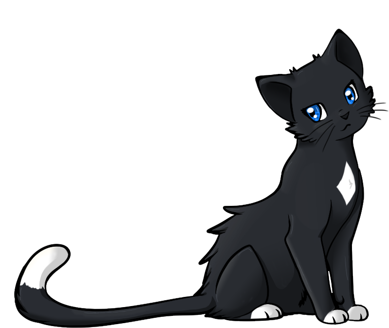 Warrior Cats Clipart Clip Art Royalty Free Animated - Anime Black And White Cat - Png Download (800x700), Png Download