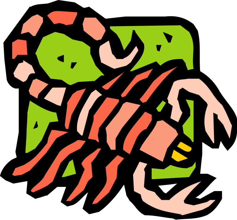 Scorpion Clipart Cute - Scorpion Coloring Pages - Png Download (800x745), Png Download
