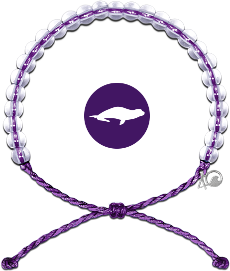 Monk Seal Bracelet - 4ocean Hawaiian Monk Seal Bracelet Clipart (600x600), Png Download
