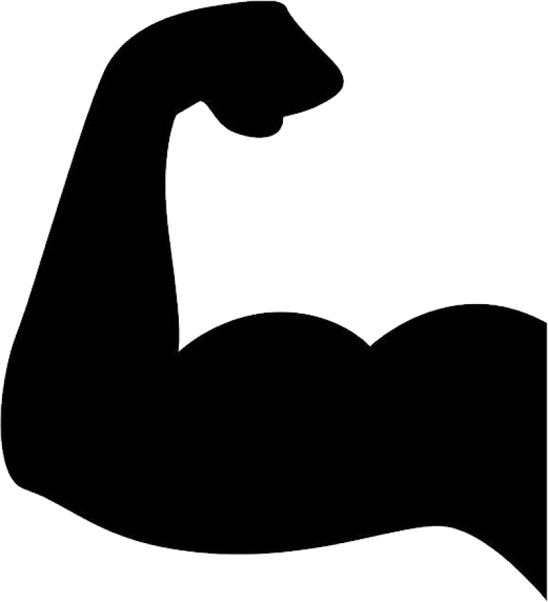 Muscle Png Image - Muscle Png Clipart (800x879), Png Download