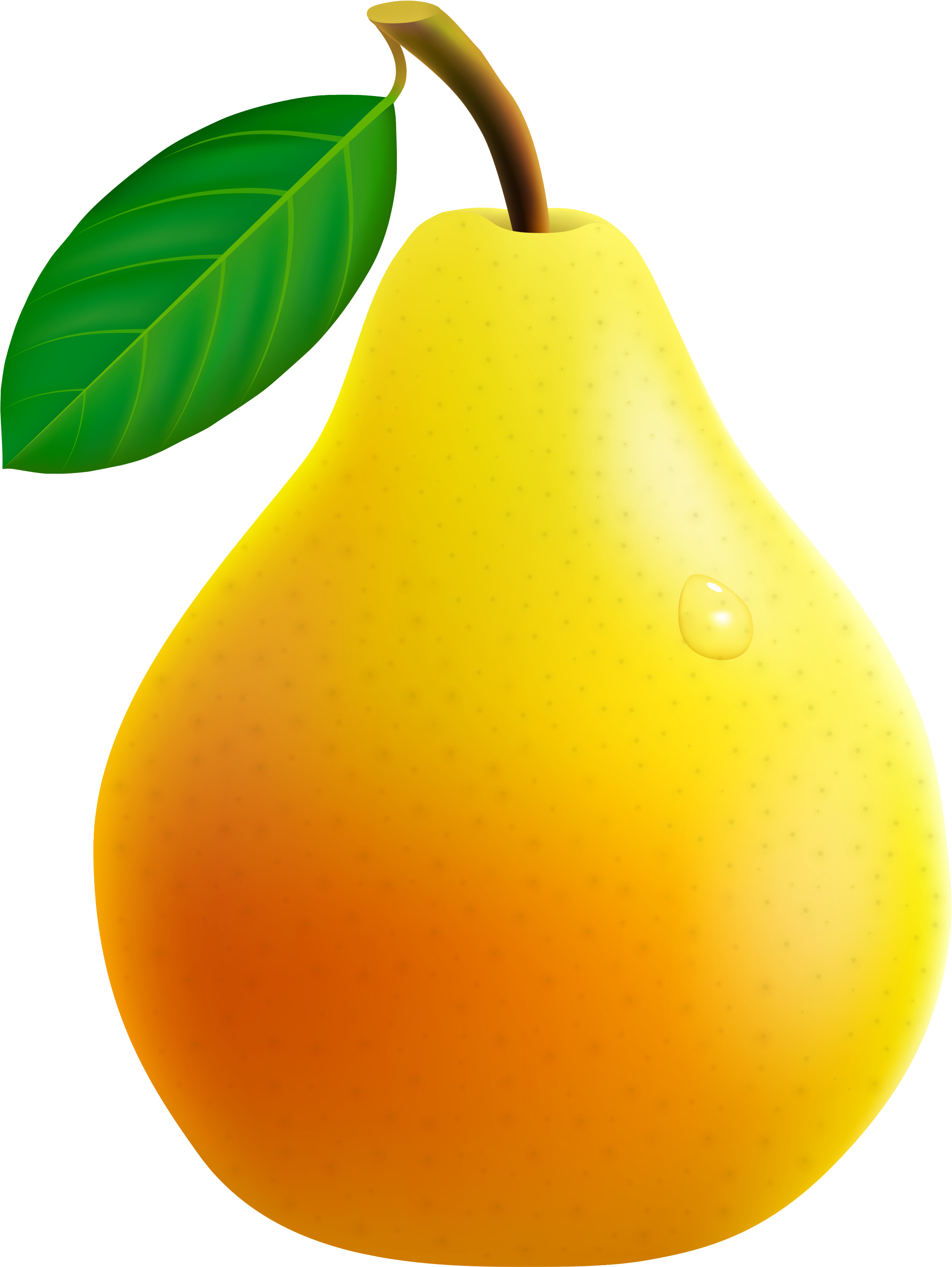 Pear Png Clipart Transparent Png (2761x3581), Png Download