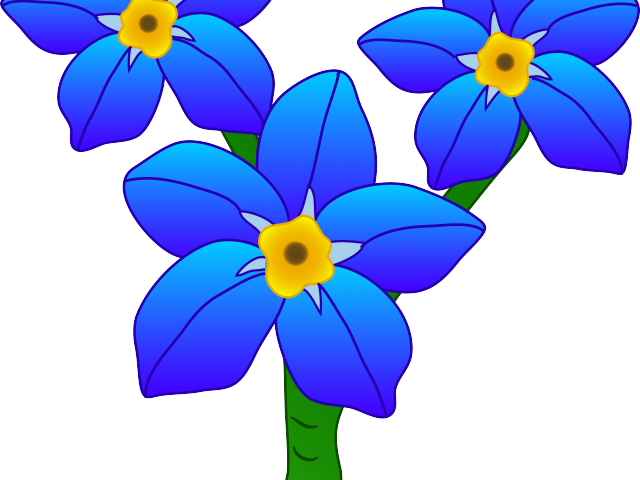 Forget Me Not Cartoon Clipart (640x480), Png Download