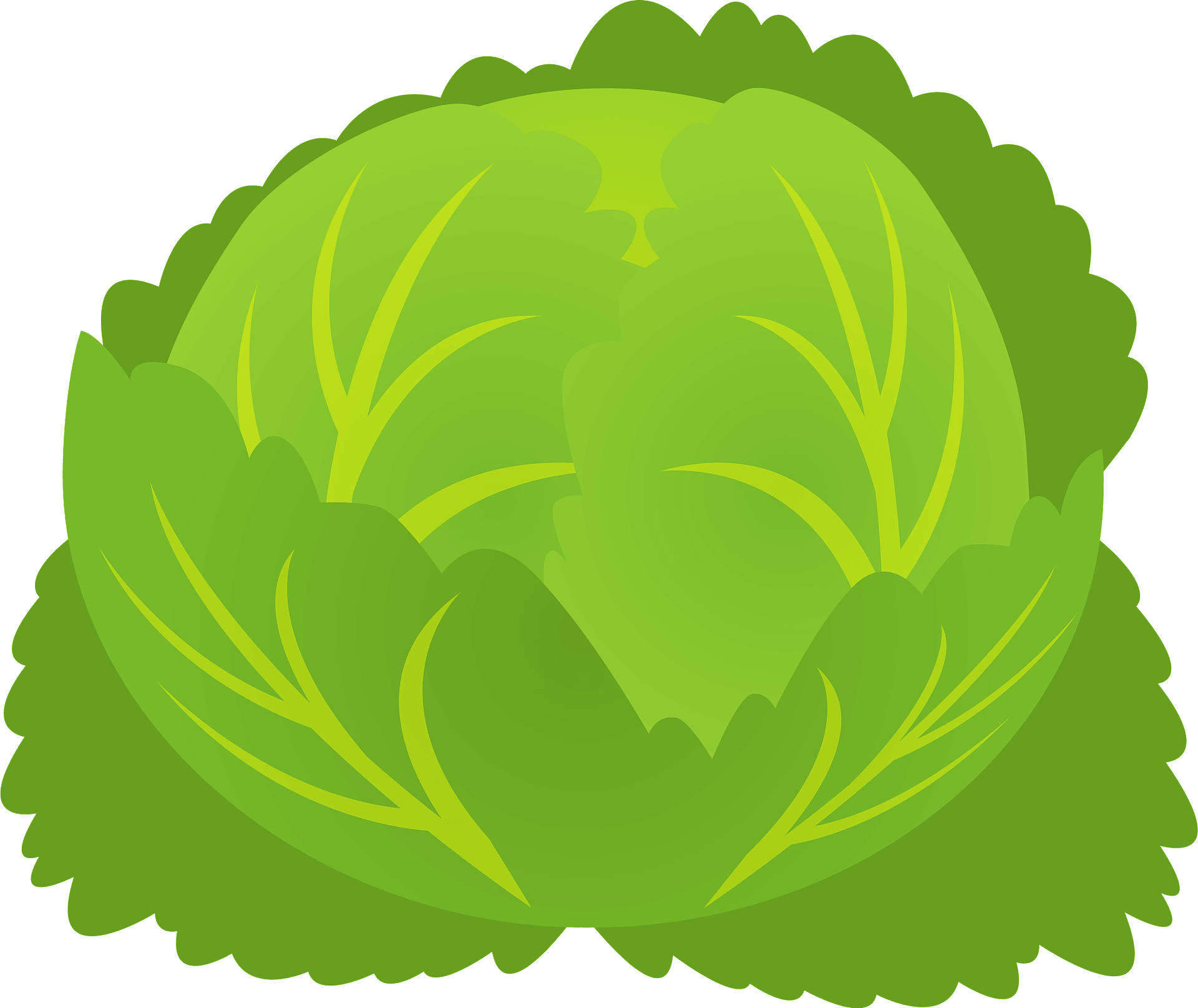 Cabbage Clipart - Png Download (1920x1615), Png Download