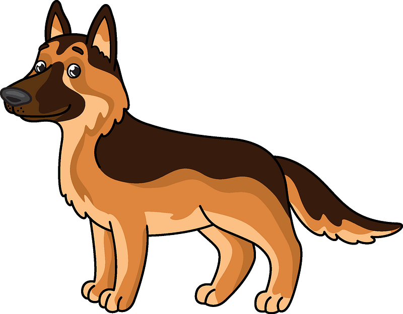 German Shepherd Clipart - Png Download (800x624), Png Download