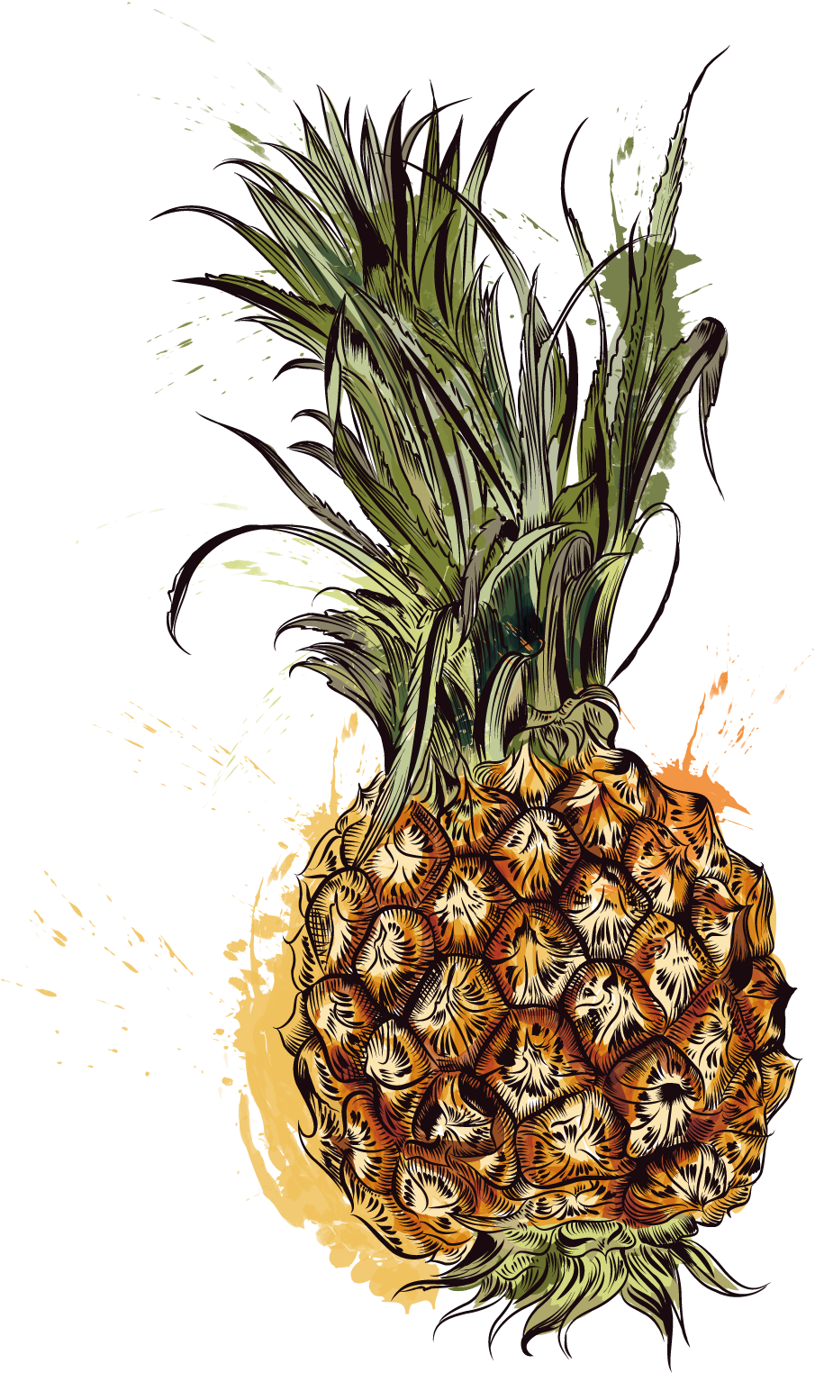 Pineapple Tropic Fruits - Pineapple Clipart (1600x1600), Png Download