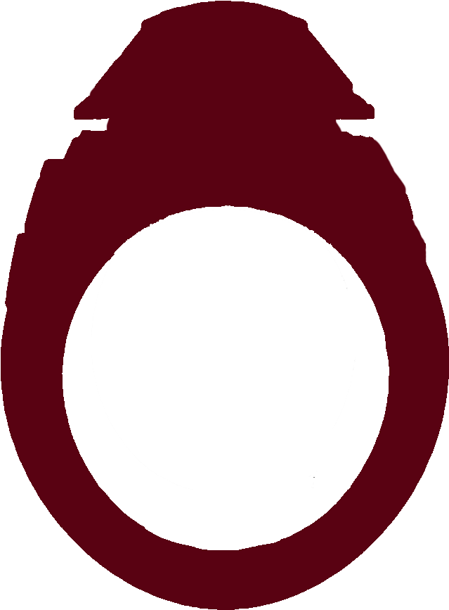 This Past Fall, The Ring For The Class Of 2017 Was - Ring Silhouette Png College Ring Clipart (639x867), Png Download