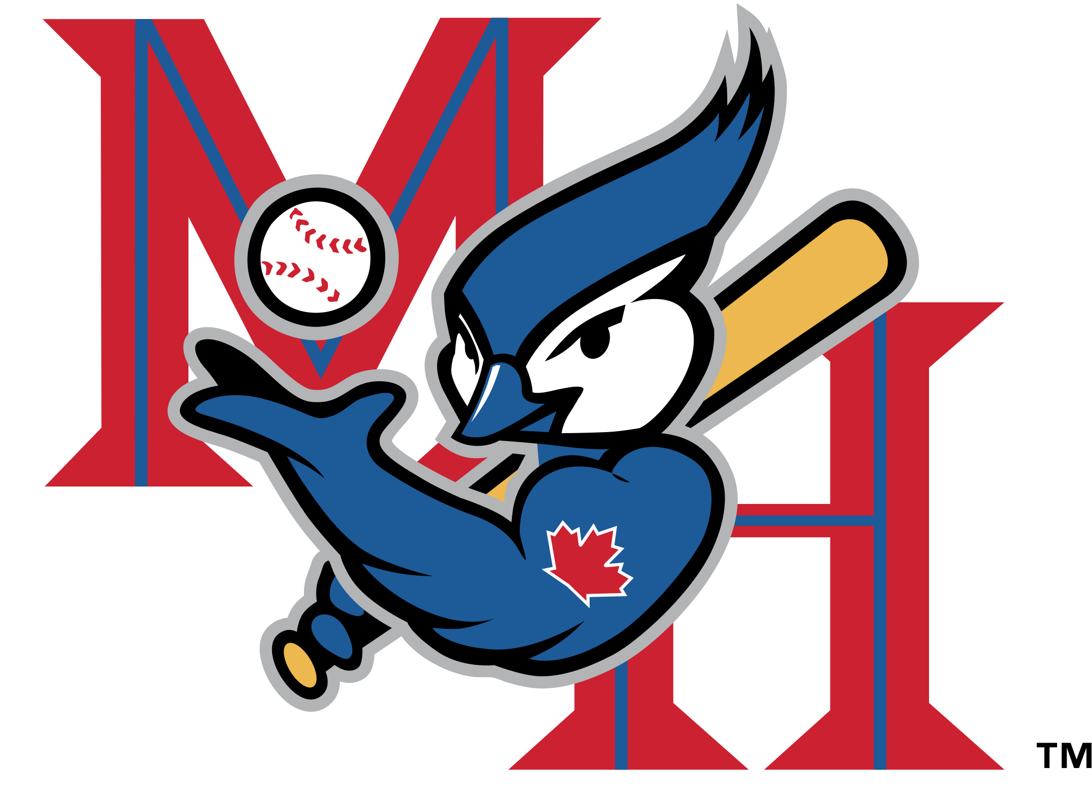 Medicine Vector Cartoon - Blue Jays Alternate Logo Clipart (2400x2400), Png Download