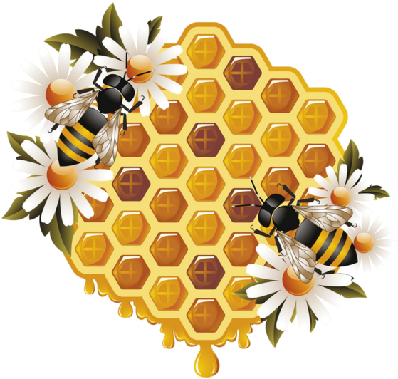 Honey Bee Clipart Transparent - Bee And Honey Png (600x600), Png Download