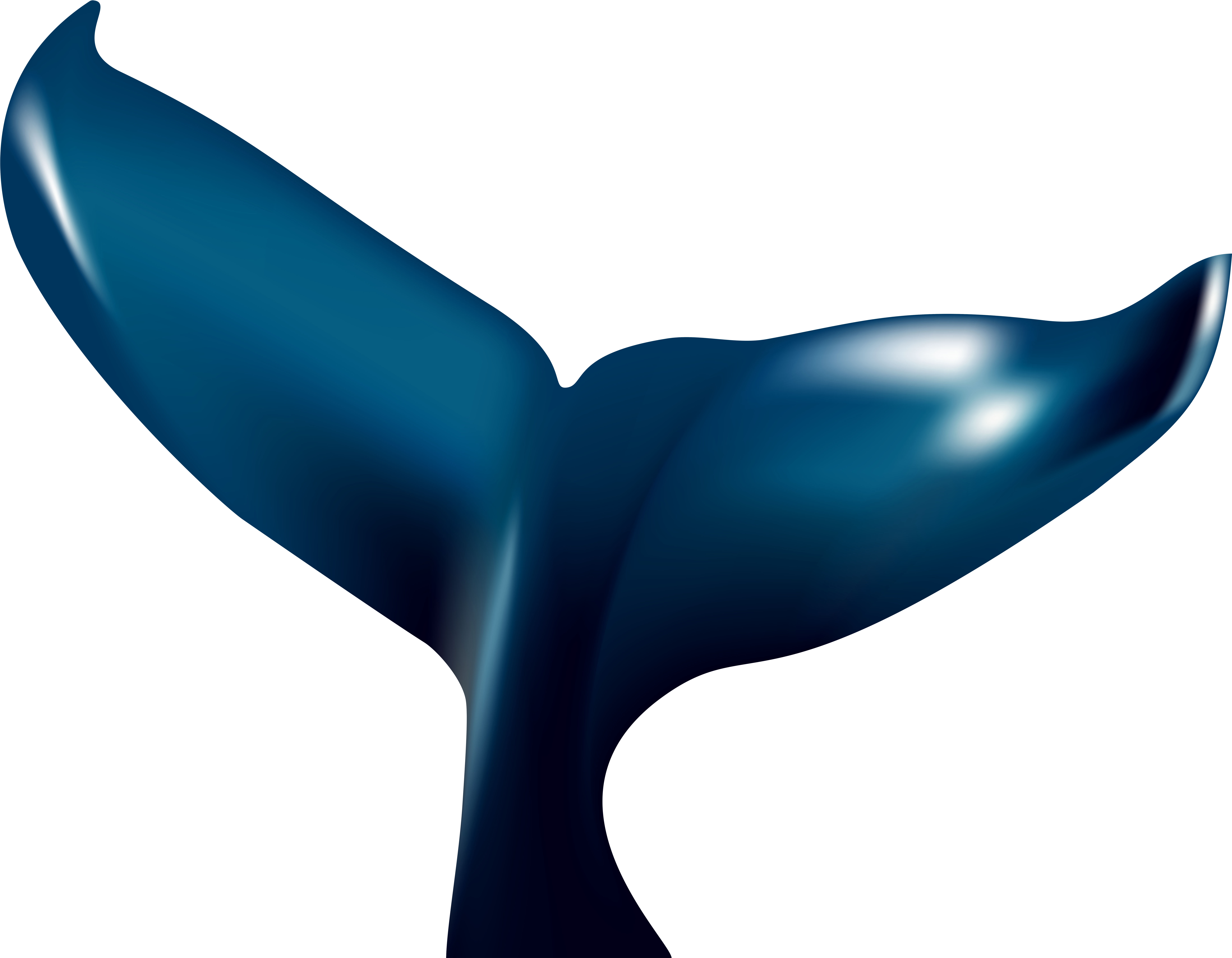 Whale Tail Blue Whale Clip Art - Png Download (8000x6099), Png Download