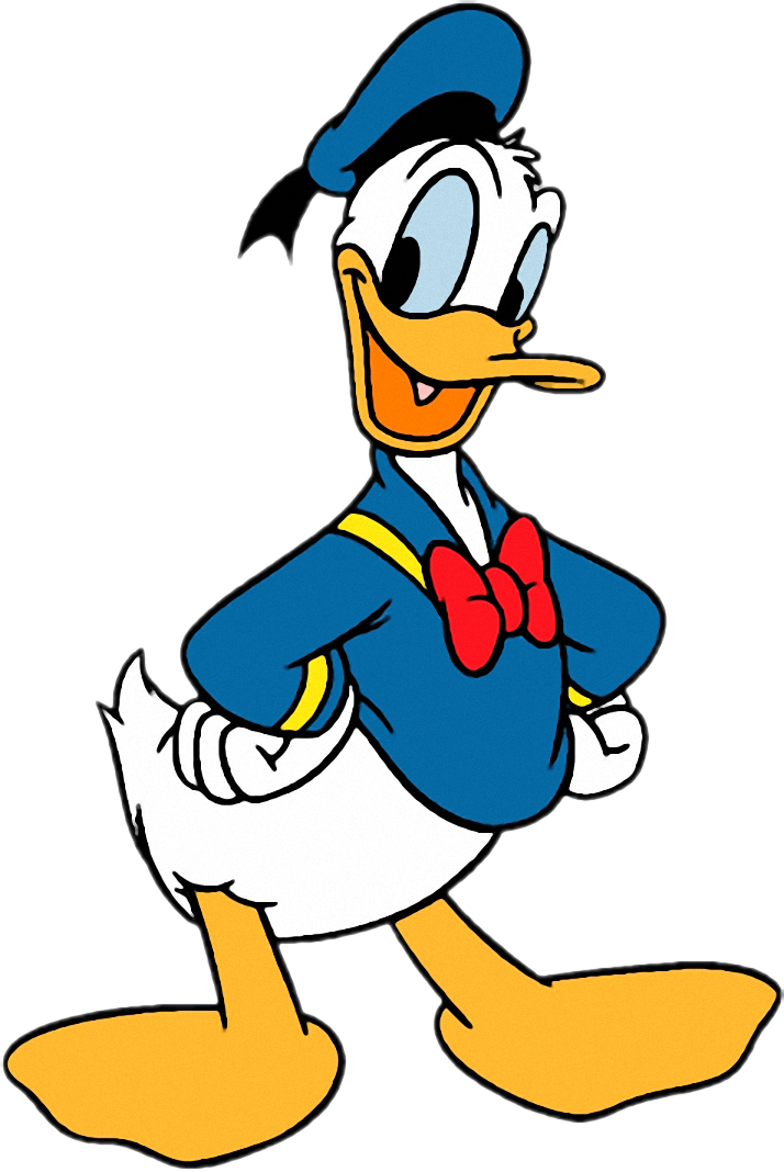 Donald Duck Png - Donald Duck Clipart (714x1068), Png Download