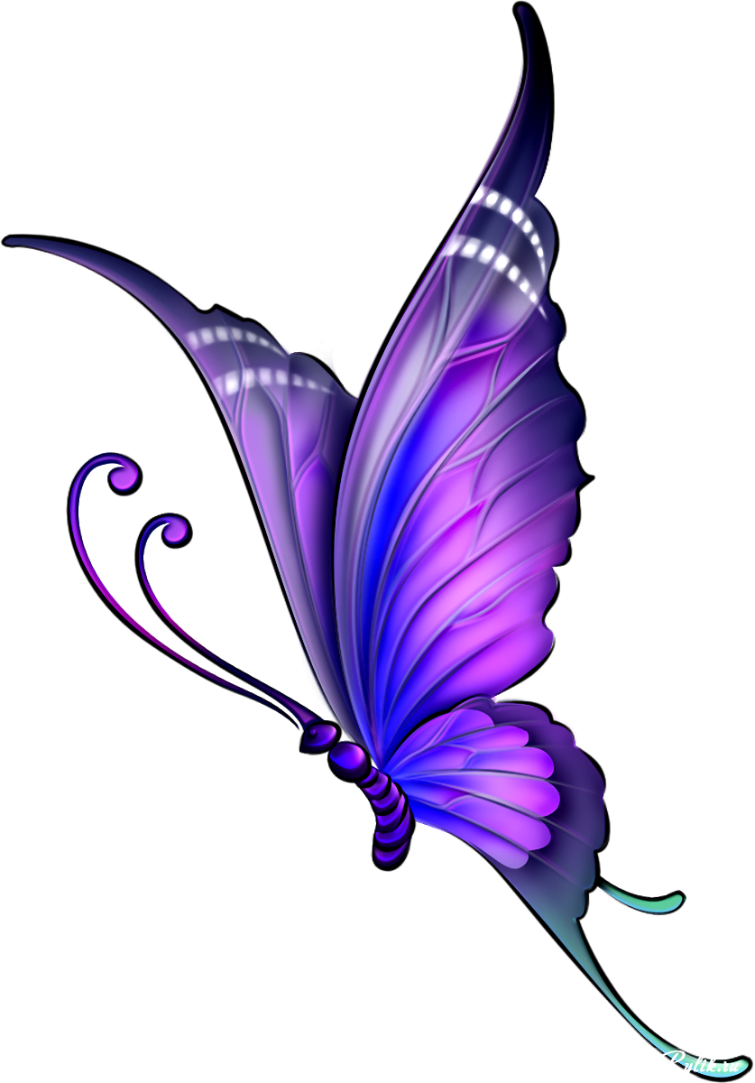 Butterfly Drawing Color Clip Art - Butterfly Drawing With Colour - Png Download (837x1200), Png Download