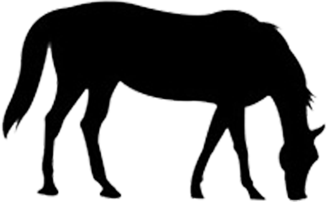 The Outline Of The Horse Png Download - Transparent Outline Of A Horse Clipart (750x750), Png Download