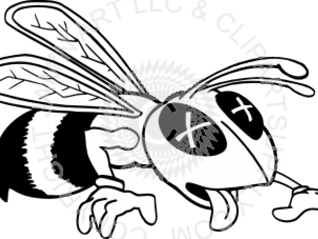Dead Bee Cliparts - Dead Hornets Clipart - Png Download (640x480), Png Download