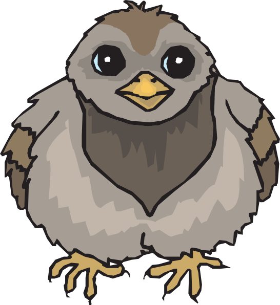 Baby Pigeon Cartoon Clipart (546x596), Png Download