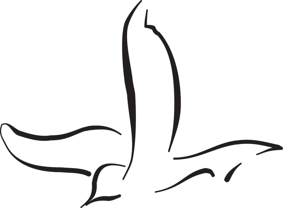 Flying Bird Outline - Clipart Flying Bird Drawing - Png Download (960x705), Png Download