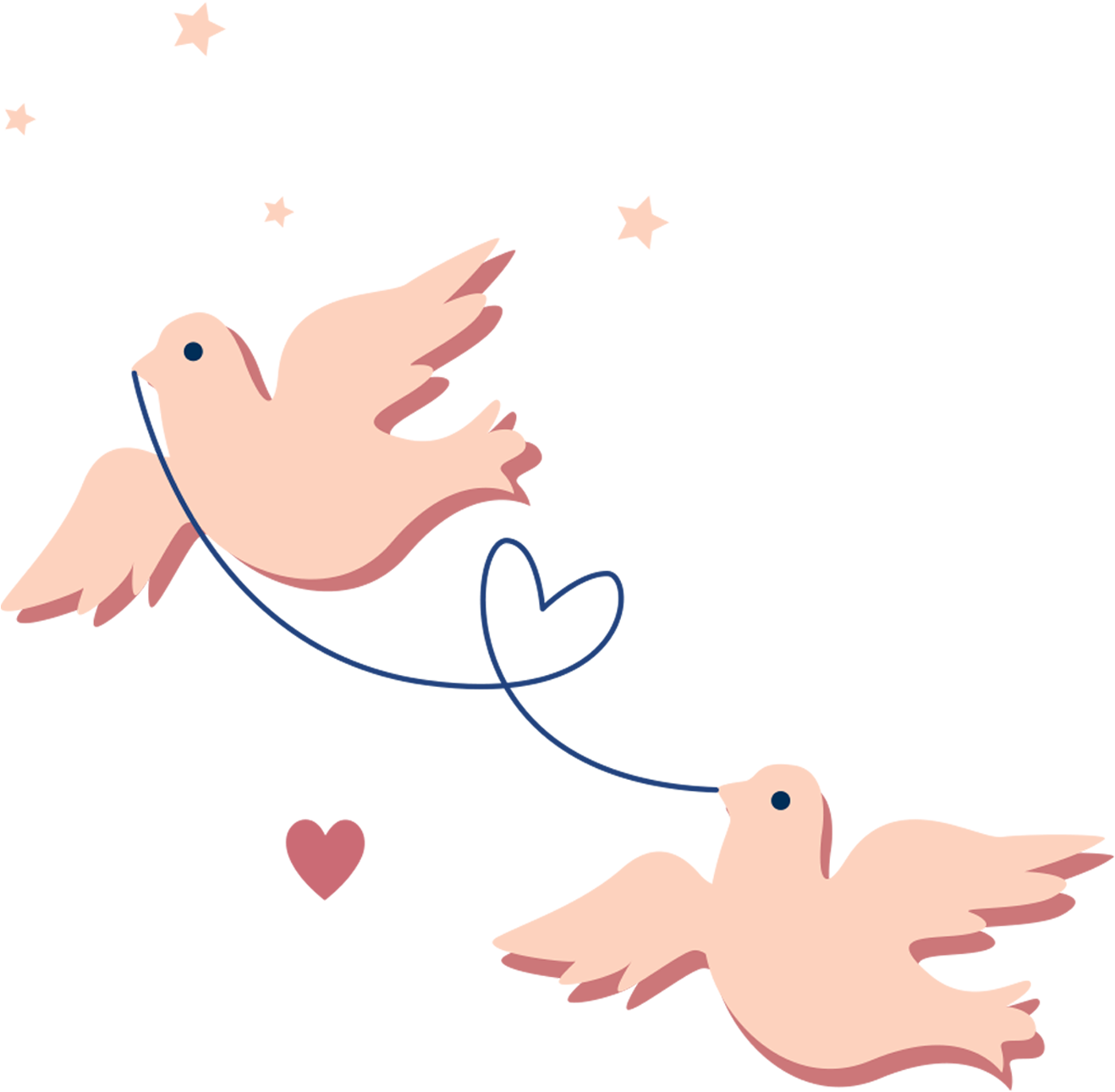 Pigeon Clipart Homing Pigeon - Paloma Rosa Png Transparent Png (1796x1551), Png Download