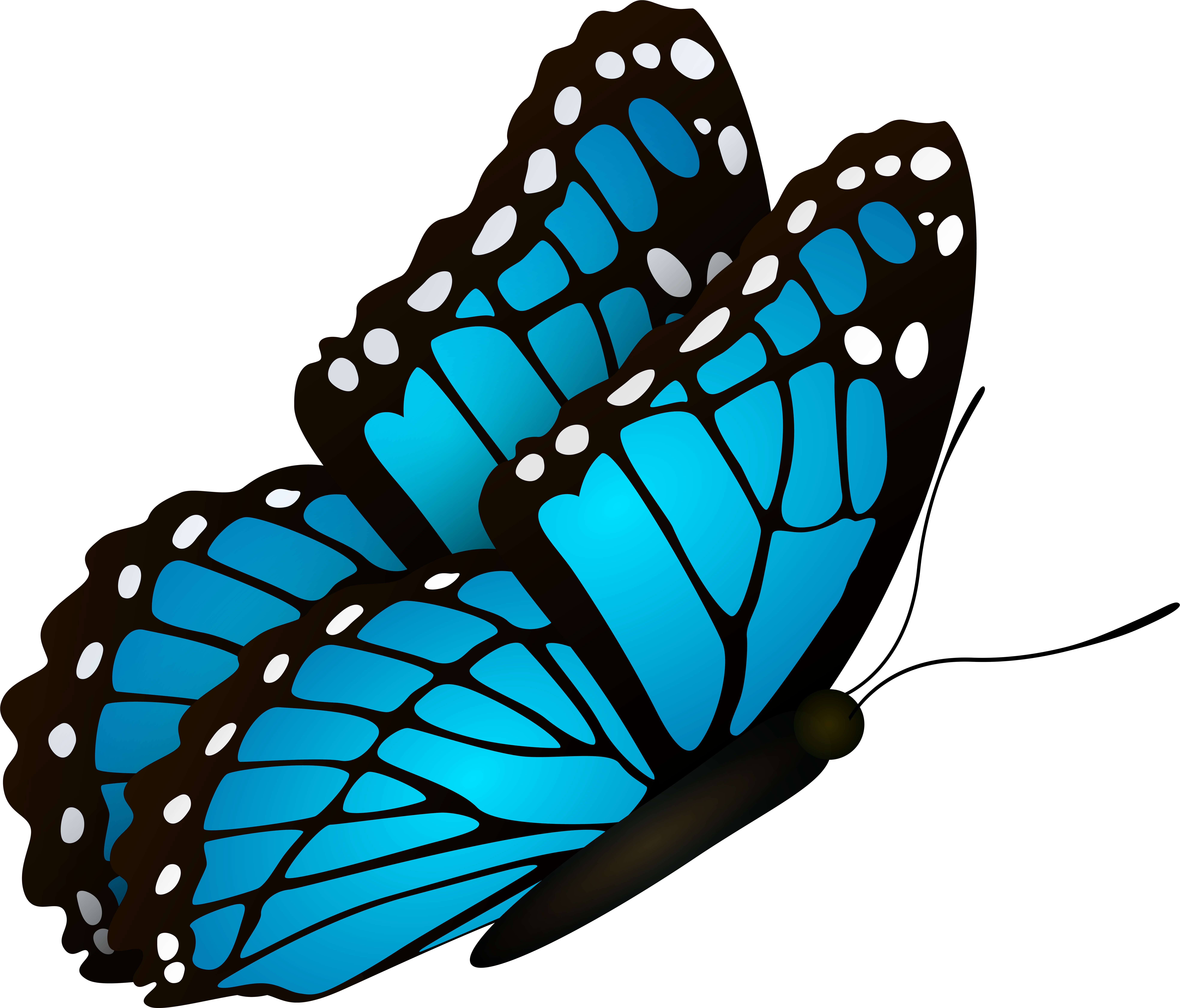 Blue Butterfly Clipart Images At Guillermo Odea Blog