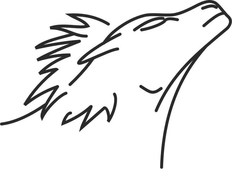 Lion Line Drawing - Line Drawing Com Lion Clipart (800x583), Png Download