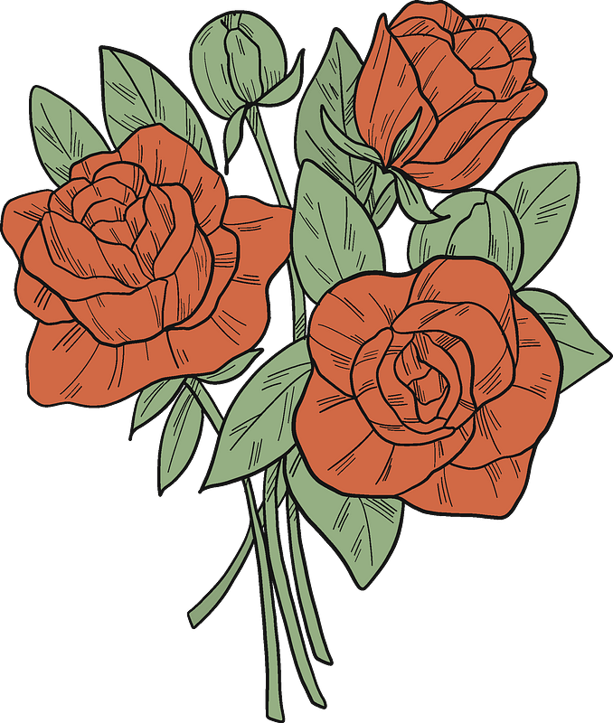 Bouquet Of Roses Clipart - Hybrid Tea Rose - Png Download (678x800), Png Download