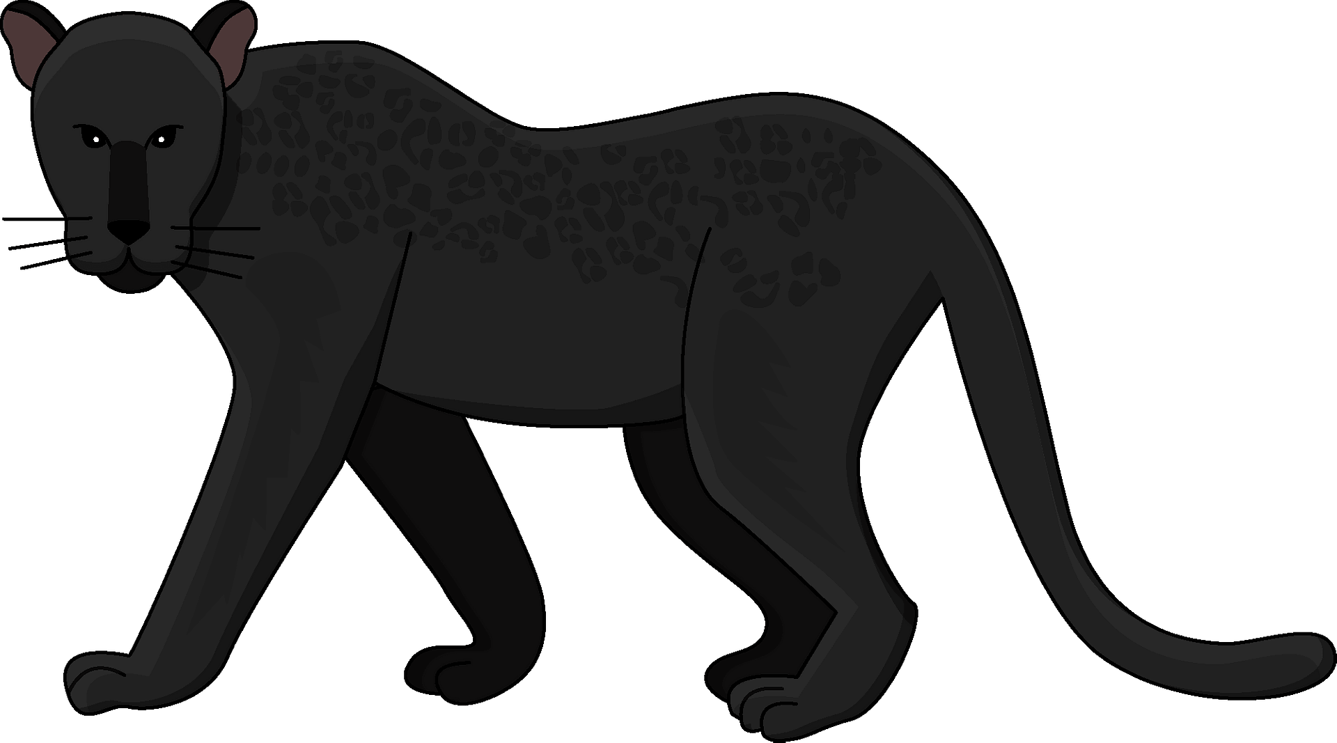Panther Clipart - Jaguar - Png Download (800x444), Png Download