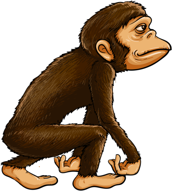 Chimp Drawing Christmas - Jungle Animal Theme Cartoon Clipart (600x643), Png Download