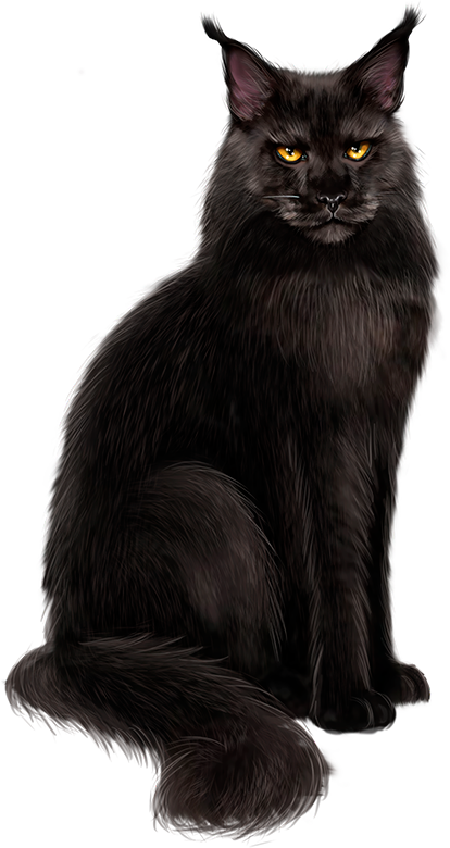 Cats Illustratie Png Clipart (414x780), Png Download
