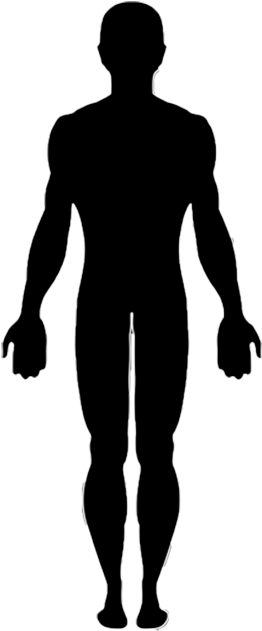 Download Vector Graphics Clip Art Human Body Image - Silhouette Of A ...