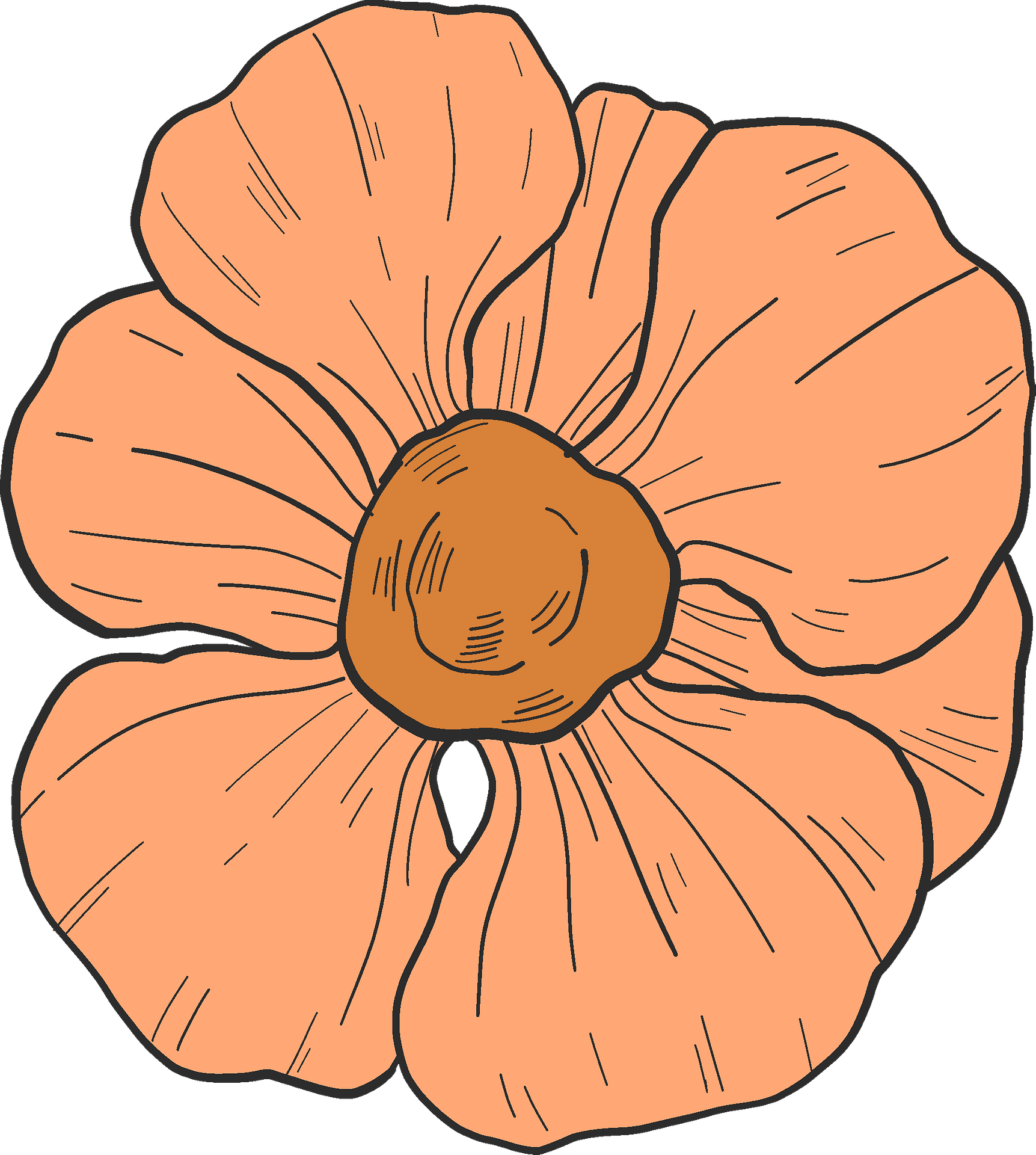 Winter Squash Clipart (1723x1920), Png Download