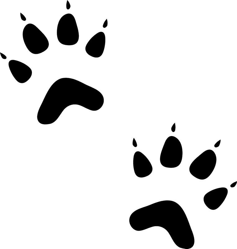 Sphynx Cat Paw Animal Kitten Rubber Stamp - Cat Animal Paw Prints Clipart (764x800), Png Download