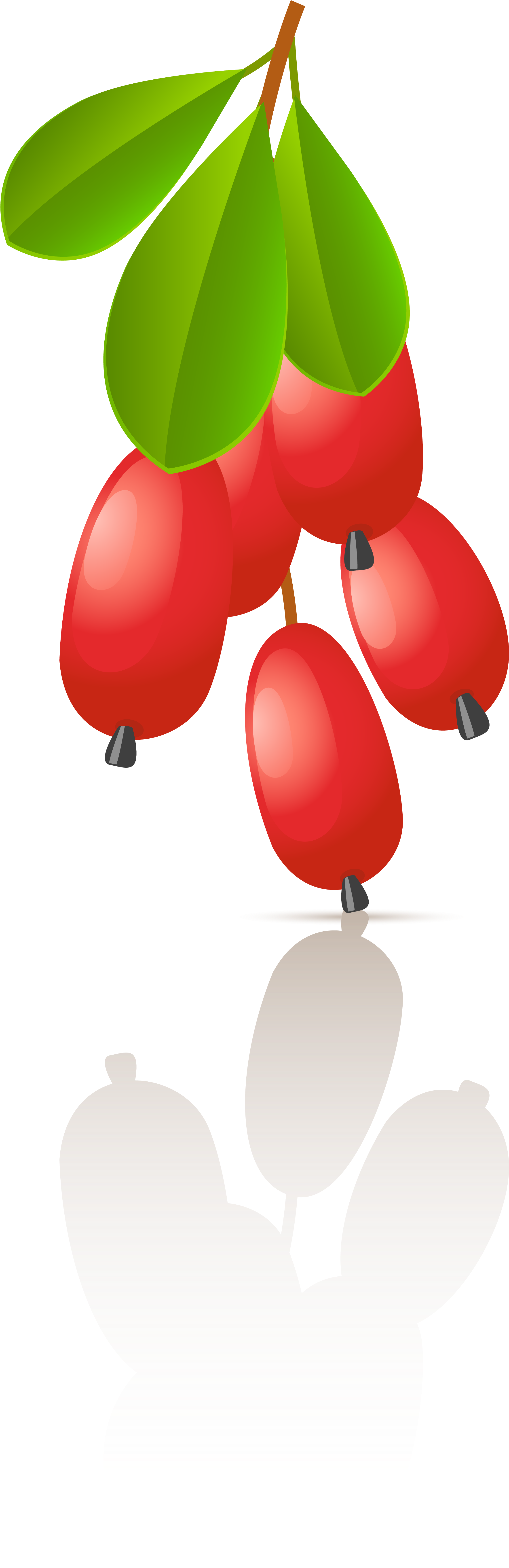 Clip Art - Png Download (2362x8138), Png Download