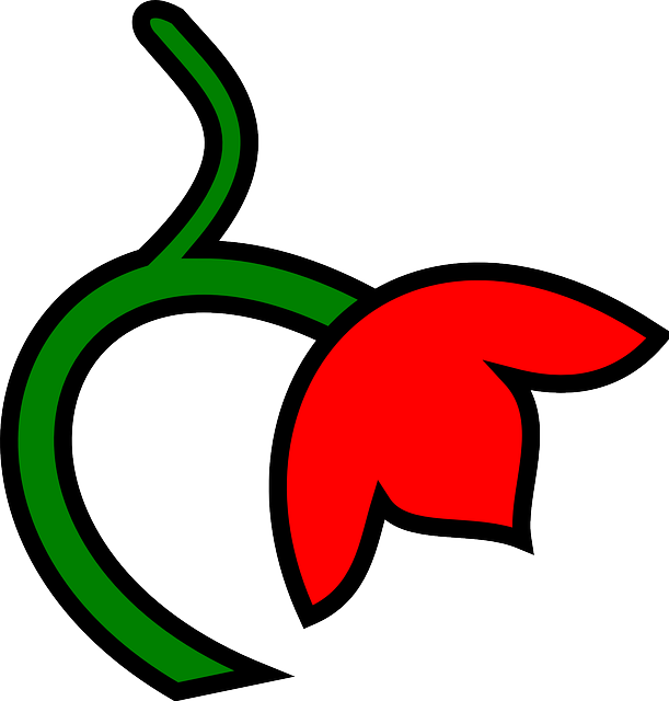 Three, Red, Green, Leaf, Flower, Down, Color, Plant - Flower Clipart Colour Png Files Transparent Png (611x640), Png Download