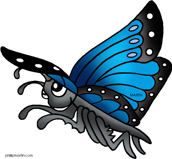 Forest Clipart Rainforest - Clip Art - Png Download (648x591), Png Download
