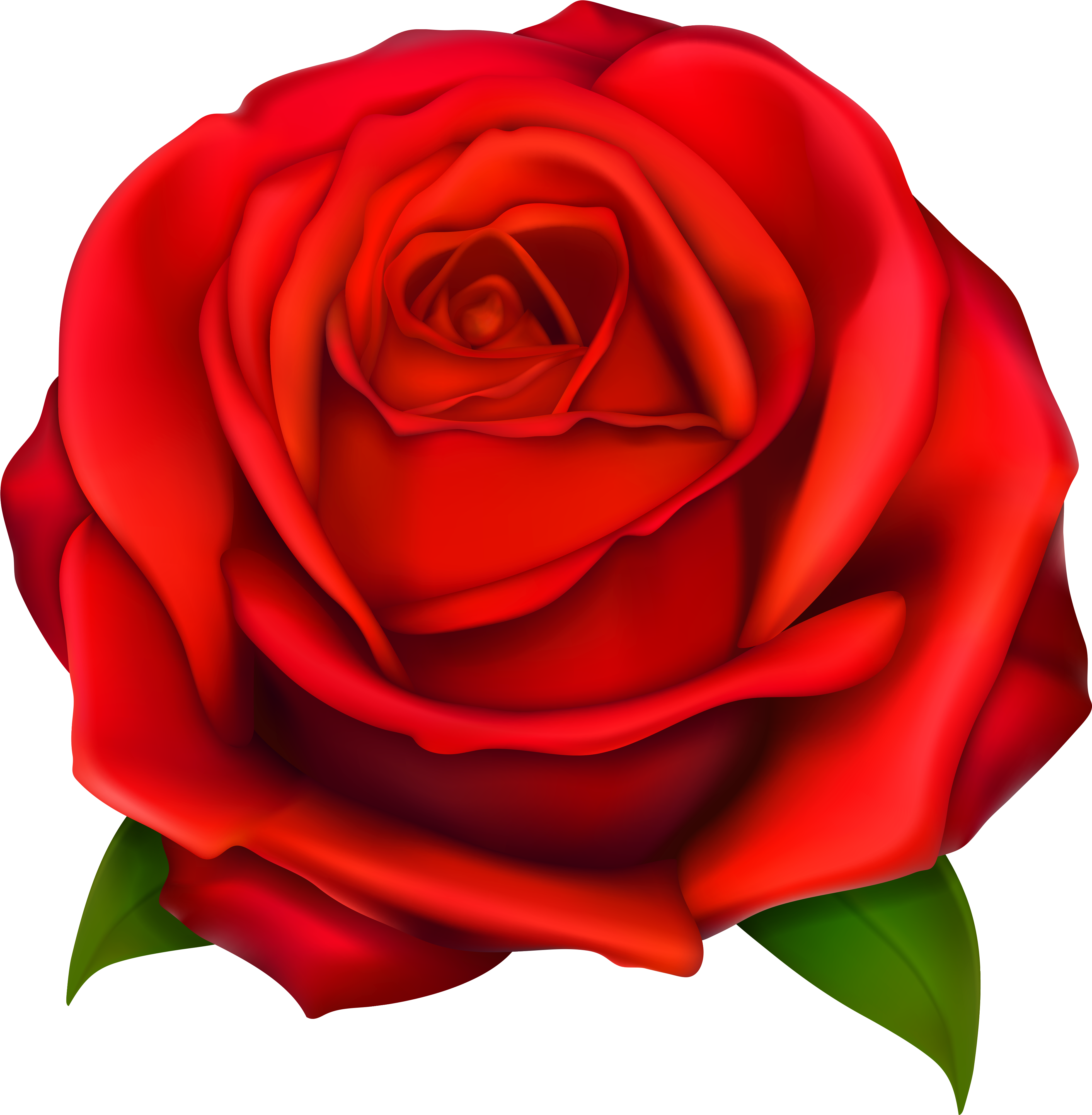 Rose Clip Art - Cartoon Rose Transparent Background - Png Download