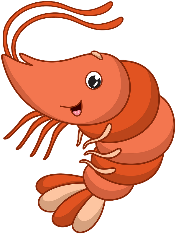 Shrimp Clipart - Say No To Llamas - Png Download (604x800), Png Download