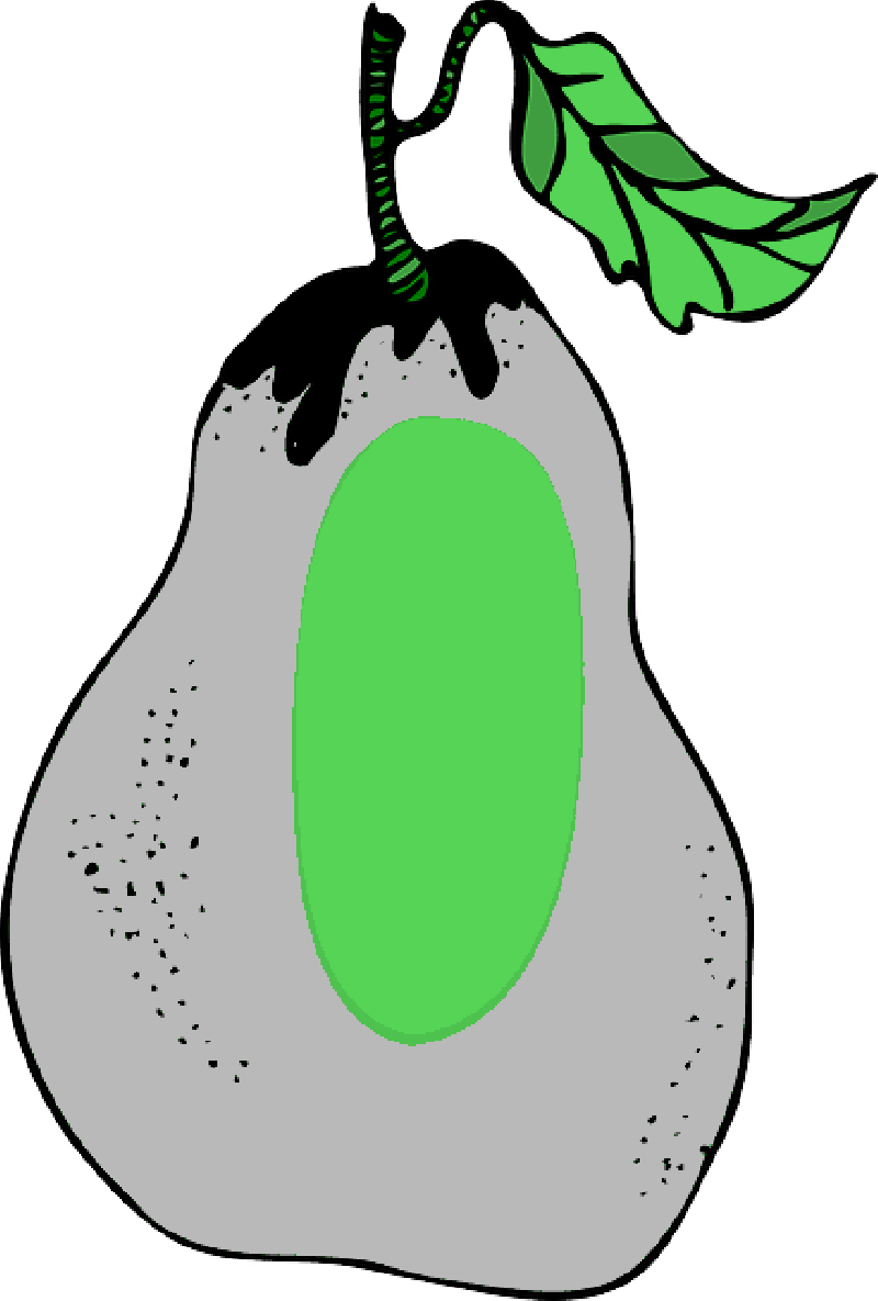 Green, Food, Fruit, Pear, Plant - Clip Art Pera - Png Download (800x1185), Png Download