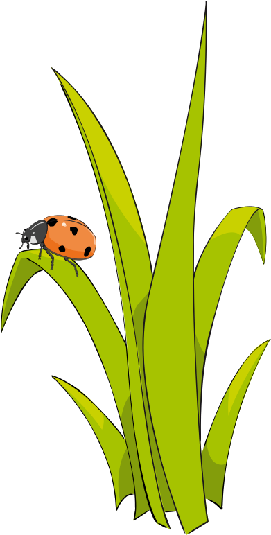 Cute Grass Clipart - Png Download (448x800), Png Download