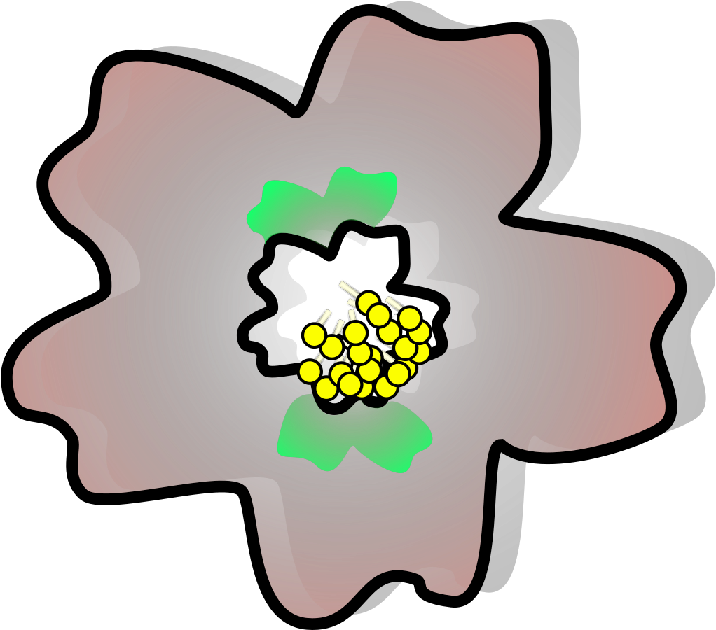 Cherry Blossom Clipart (1024x1024), Png Download