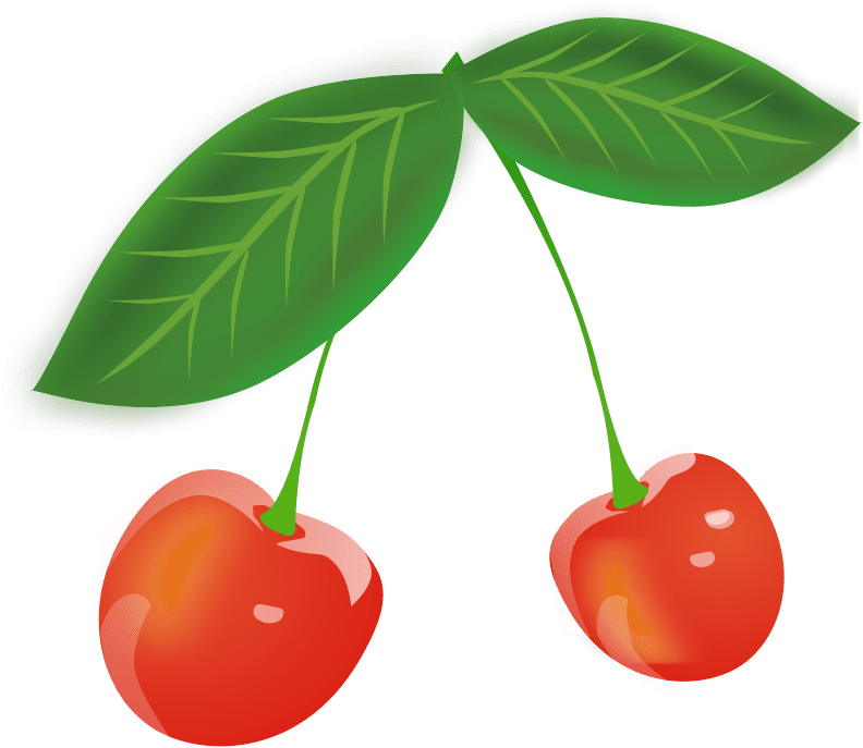 Cherries - Cherry Leaves Clipart - Png Download (800x800), Png Download